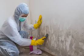 Asbestos and Lead Testing During Mold Inspection in Highfill, AR